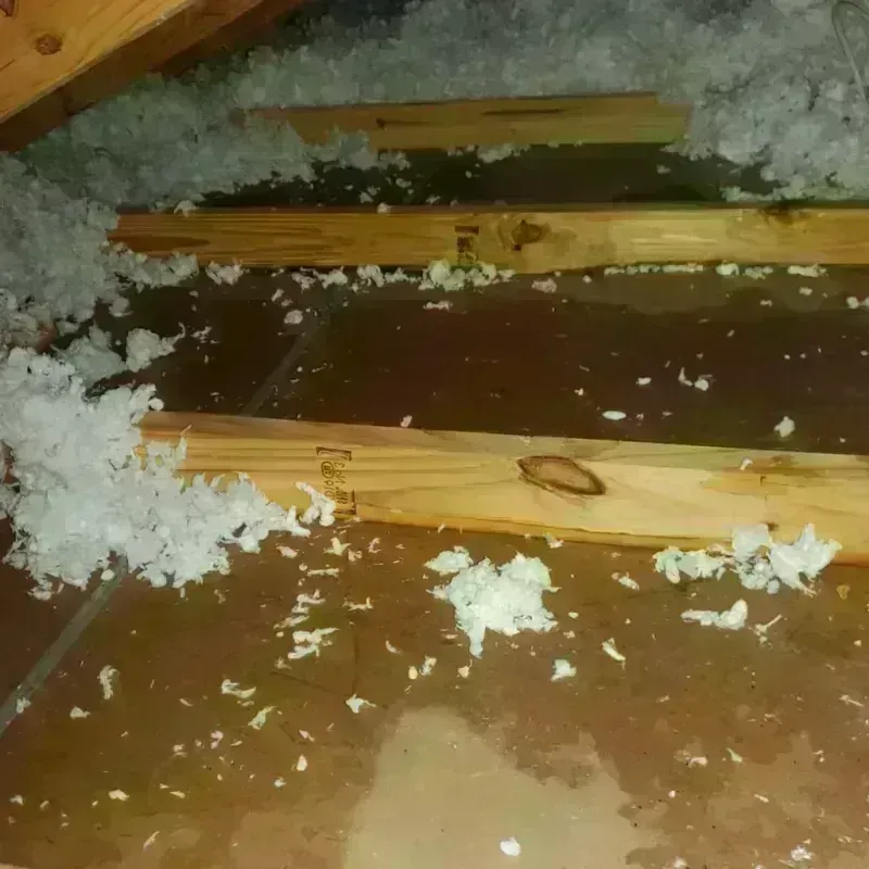 Attic Water Damage in Bismarck, ND