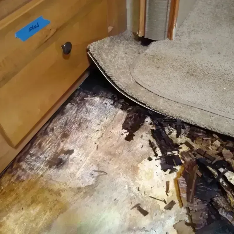 Wood Floor Water Damage in Bismarck, ND